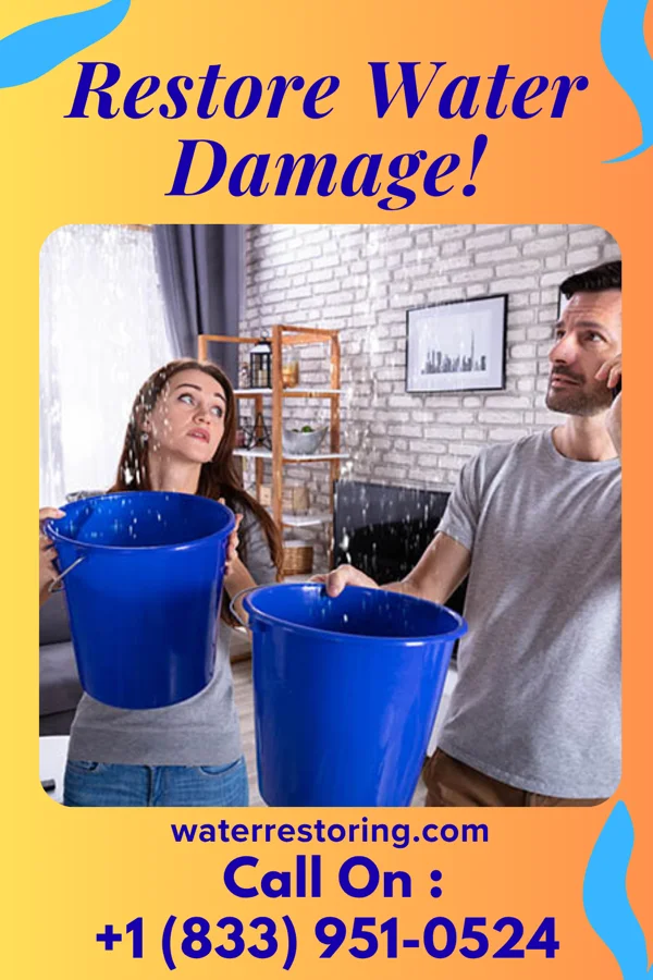 water restoration Premier Sewage Cleanup Services Herndon