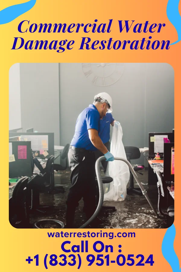 Commercial Water Damage Restoration in Herndon, KS