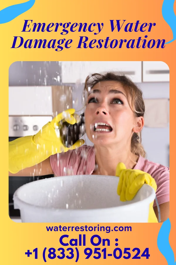 Emergency Water Damage Restoration in Herndon, KS