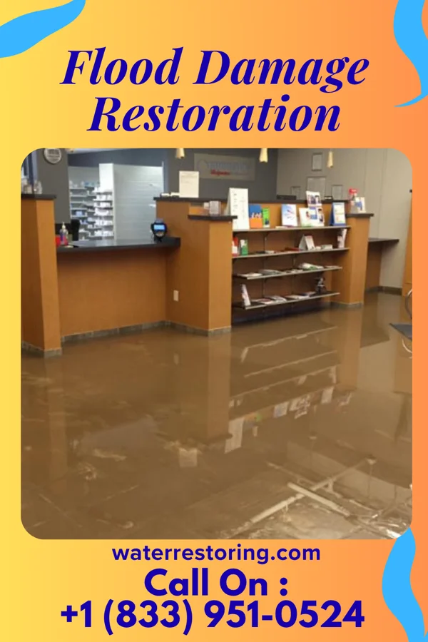 Flood Damage Restoration in Herndon, KS